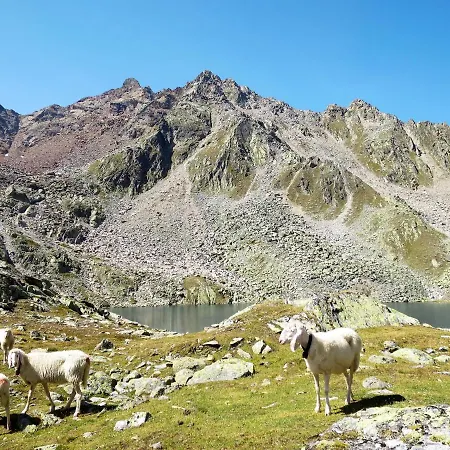 Apartment Nadine-8 By Interhome *