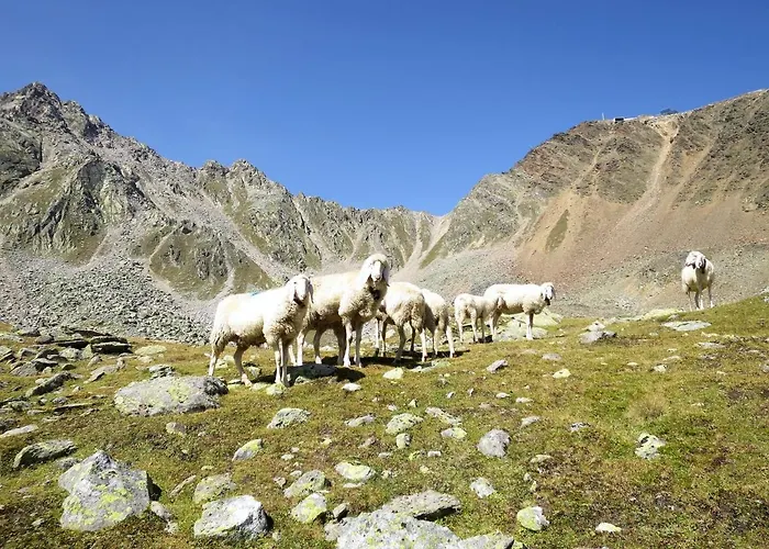 Apartament Nadine-8 By Interhome